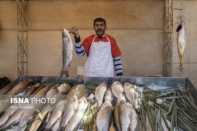 عکس تزئینی است جشنواره ماهیهای ماهنشان؛ بهانهای برای جشن، فرصتی برای توسعه