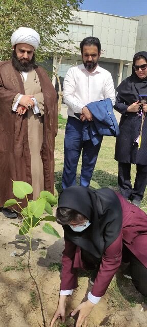 کاشت نهال انجیر به یاد قاسم آهنینجان