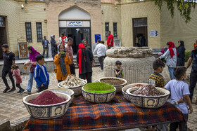 موزه شوش در سال ۱۳۴۵، در جوار قلعه و محوطه باستانی شوش گشایش یافت. این موزه یکی از مهمترین موزههای اشیای ایران باستان بهشمار میرود و آثار باارزشی را از دورههای مختلف تاریخی در خود جای داده است. آثار بهنمایش درآمده در موزه شوش حاصل حفاریهای منطقه شوش و چغازنبیل است.