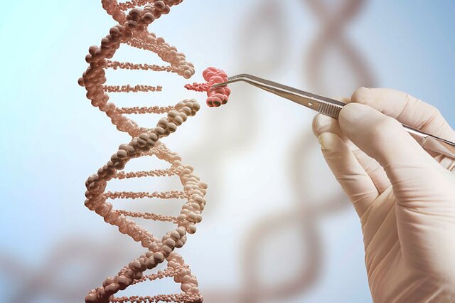 دانشگاه علوم پزشکی اهواز میزبان اولین سمپوزیم بین‌المللی DNA