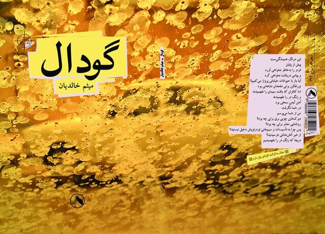 شاعر خوزستانی نامزد دریافت جایزه «کتاب سال شعر ایران به انتخاب خبرنگاران»