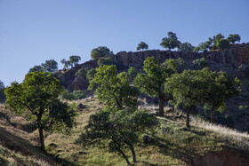 روستای سرسرداب سفلی