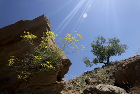 روستای سرسرداب سفلی