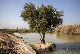 روستاهای پائین دست رودخانه از آب این رودخانه برای کشاورزی، دامداری و شست و شو استفاده می‌کنند. همین کار باعث شیوع بیماری‌های زیادی برای دام‌ها و ساکنین روستاها شده است.