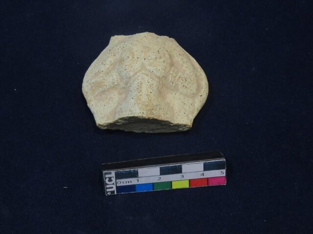 کشف ۲ پیکرک سفالی متعلق به دوران عیلام در شوش کشف ۲ پیکرک سفالی متعلق به دوران عیلام در شوش