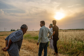 سطح زیر کشت گندم در شهرستان رامرمز ۲۶ هزار هکتار اراضی آبی و ۱۳هزار هکتار اراضی دیم شهرستان بوده است.