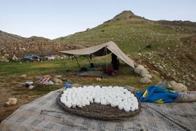 حدود ۵۰ خانوار در روستای تنگه دز زندگی می کنند که از طریق کشاورزی و دامداری امرار معاش می کنند.