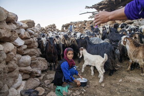 درحال حاضر حدود ۵۰ خانوار در روستای تنگه‌دز زندگی می‌کنند که از طریق کشاورزی و دامداری امرار معاش می‌کنند. 