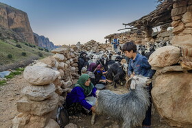 در شمال خوزستان، روستای دورافتاده‌ای به نام  "تنگه‌دز" قرار دارد که از امکانات اولیه زندگی محروم است.