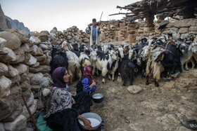 درحال حاضر حدود ۵۰ خانوار در روستای تنگه‌دز زندگی می‌کنند که از طریق کشاورزی و دامداری امرار معاش می‌کنند. 