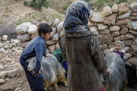 درحال حاضر حدود ۵۰ خانوار در روستای تنگه‌دز زندگی می‌کنند که از طریق کشاورزی و دامداری امرار معاش می‌کنند. 