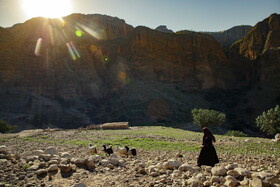 درحال حاضر حدود ۵۰ خانوار در روستای تنگه‌دز زندگی می‌کنند که از طریق کشاورزی و دامداری امرار معاش می‌کنند. 