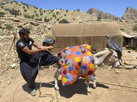 درحال حاضر حدود ۵۰ خانوار در روستای تنگه‌دز زندگی می‌کنند که از طریق کشاورزی و دامداری امرار معاش می‌کنند. 