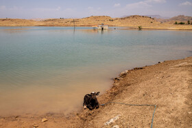 خانه‌های زیر آب حاشیه سد گتوند - روستای تلخاب تاجدین