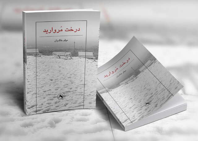 «درخت مروارید» در دستهای میثم خالدیان