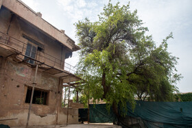 هتل قو در قالب ساختمانی دو طبقه همراه با ساختمانی های جانبی در اواخر دوره قاجار در اهواز احداث شد.