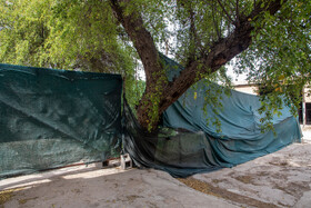 هتل قو در قالب ساختمانی دو طبقه همراه با ساختمانی های جانبی در اواخر دوره قاجار در اهواز احداث شد.