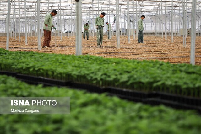 عکس از آرشیو انعقاد تفاهمنامه همکاری میان فنی وحرفهای و دانشگاه علوم کشاورزی خوزستان