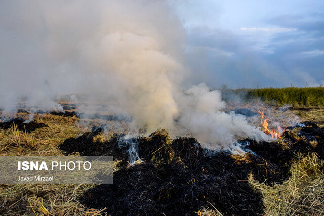 عکس از آرشیو ارجاع پروندههای آتشسوزی مزارع "کرخه" به کارشناسان قضایی