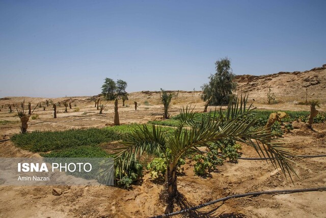 روایتی از زندگی معتادان متجاهر در کمپ ماده ۱۶ خوزستان