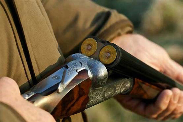 عکس تزئینی است. بازی یک نوجوان با اسلحه شکاری، جان خواهر جوان را گرفت