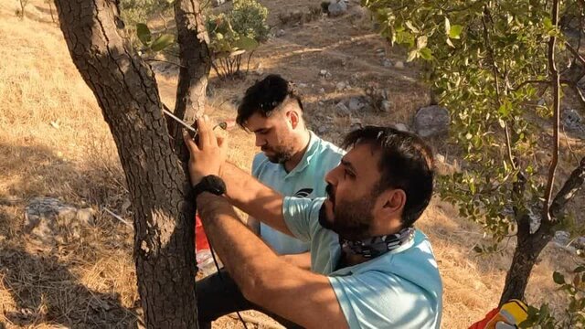 اجرای سیستم نظارت بر کیفیت هوا و آتشسوزی جنگلها در کوهستان زاگرس