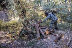 فعالان محیط زیست معتقد هستند کارخانجات چوب مقدار قابل توجهی از چوبهای غیرقانونی مانند درختان جنگلی را بدون هیچقید و شرطی خریداری میکنند و این روند آسیب زیادی به مناطق حفاظت شده و پارکهای ملی وارد خواهد کرد.