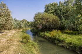 جنگلهای کرخه و دز زیستگاه اصلی گوزن زرد ایرانی همیشه در معرض تخریب قرار دارد وجود سدها دز و کرخه. قاچاق چوپ آتش سوزی تجاوز به حریم جنگل و خشکسالی و کشاورزی، پوشش جنگلی و گیاهی این زیستگاه مهم را در معرض خطر نابودی قرار داده است.