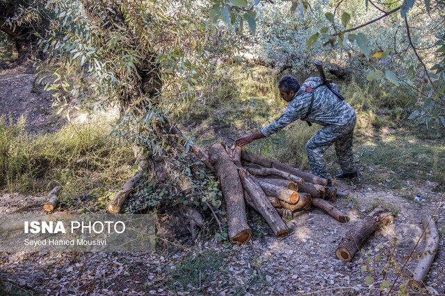 عکس تزئینی ست توقیف محموله ۲.۷ تنی چوب تاغ با شلیک پلیس به نیسان