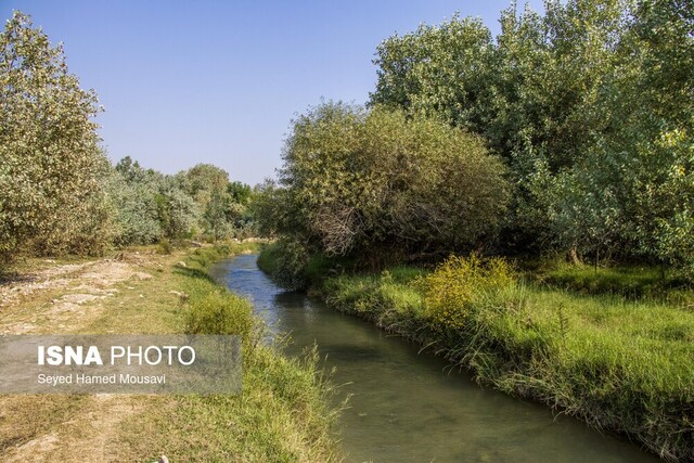 پارک ملی دز بررسی ۷۰ پرونده تصرف غیرقانونی در محدوده پارک ملی دز