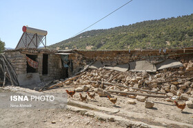 ۸۳ درصد واحدهای مسکونی روستاهای زنجان سنددار شدند