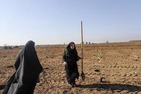 آغاز طرح کاشت یک میلیارد درخت - خوزستان