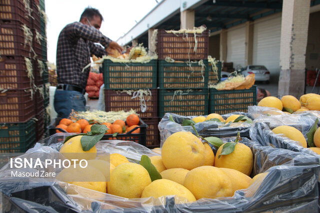 عکس تزئینی است افزایش نظارتها بر بازار میوه و ترهبار زنجان