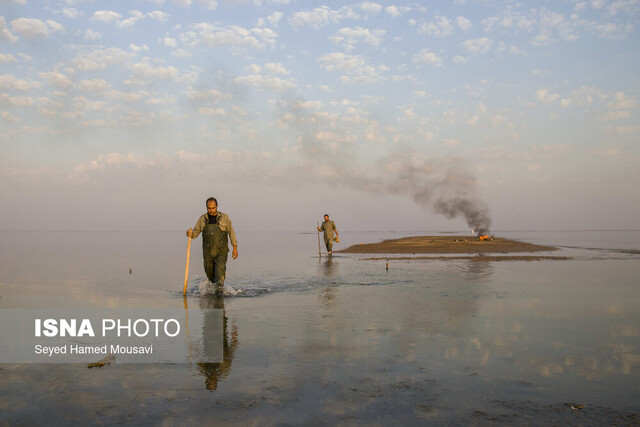 تخریب دامگاههای غیرمجاز در تالاب هورالعظیم تخریب مستمر دامگاههای سنتی پرندگان مهاجر تالابهای خوزستان