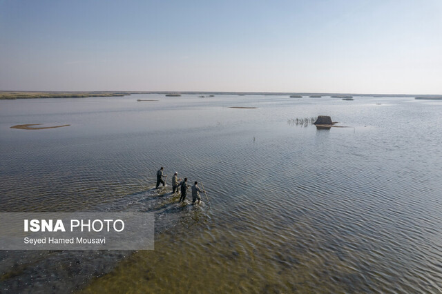 گشت محیطبانان در تالاب هورالعظیم دستگیری ۷۰۳ شکارچی و صیاد متخلف در خوزستان