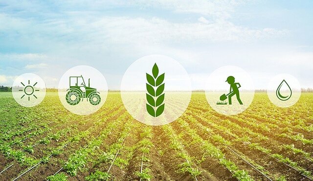 پذیرش 10 ایده برتر در رویداد کشاورزی دانش بنیان دانشگاه شهید چمران اهواز