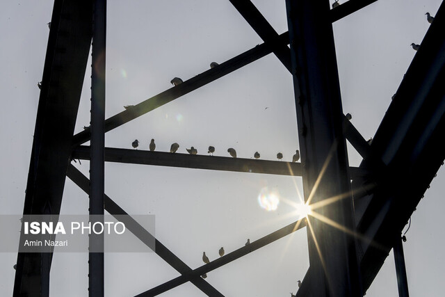 پل سفید اهواز پیشبینی تداوم افزایش دما در خوزستان