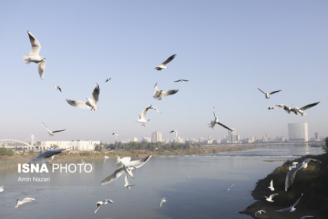 هوای هفت شهر خوزستان در وضعیت «قابل قبول»