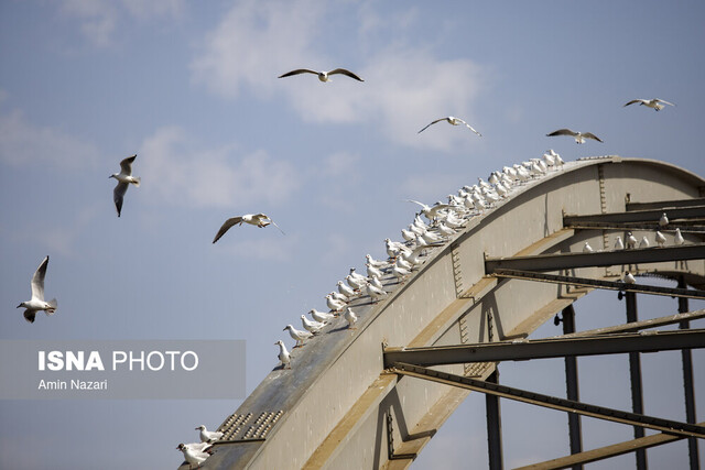 پل سفید اهواز وضعیت «قابل قبول» هوا در هفت شهر خوزستان
