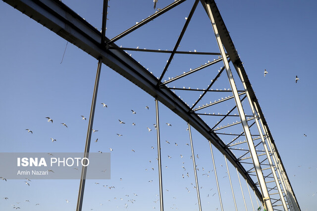 پل سفید اهواز افزایش دما در خوزستان ادامه دارد