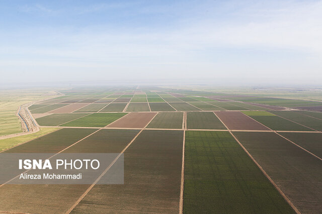 اختصاص 119 هکتار از اراضی دولتی به پروژه های کشاورزی و غیر کشاورزی اختصاص 119 هکتار از اراضی دولتی به پروژه های کشاورزی و غیر کشاورزی