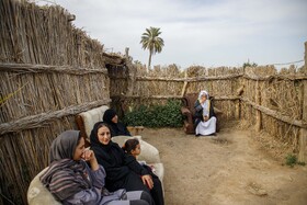 مزرعه گل شببو در حمیدیه