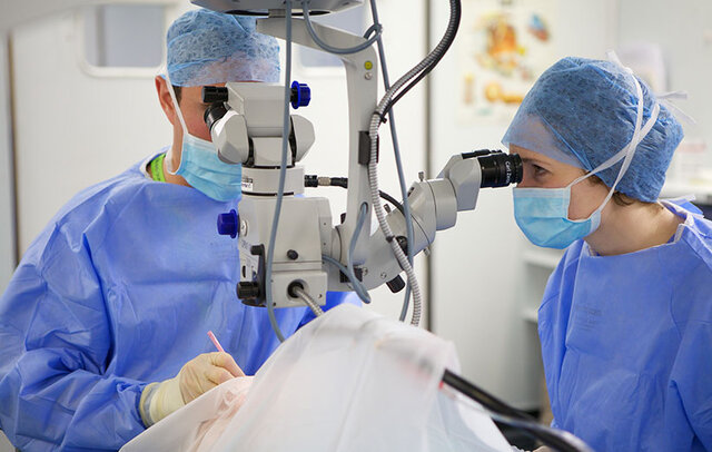 ایجاد بیمارستان ویژه چشم در اهواز در حال پیگیری است ایجاد بیمارستان ویژه چشم در اهواز در حال پیگیری است