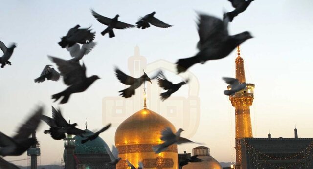 ابعاد شخصیتی امام رضا (ع) به نسل جدید معرفی شود ابعاد شخصیتی امام رضا (ع) به نسل جدید معرفی شود