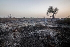 مهار آتش سوزی در پارک ملی کرخه - خوزستان