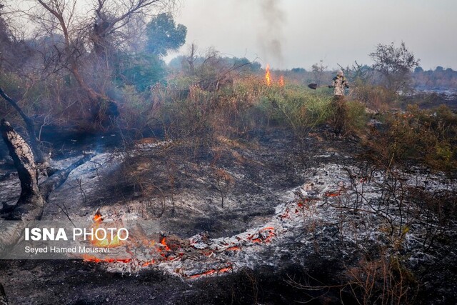 عکس خبر تزئینی است شلعهور شدن مجدد آتشسوزی جنگلها و مراتع کهگیلویه