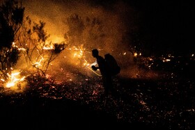 آتش‌سوزی ارتفاعات نارک گچساران مهار شد
