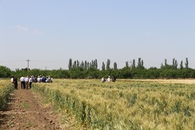 آماده‌سازی ۷۰ هزار  مترمربع  زمین کشاورزی برای آموزش دانشجویان