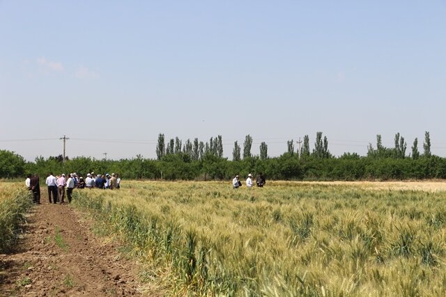 آماده‌سازی ۷۰ هزار  مترمربع  زمین کشاورزی برای آموزش دانشجویان