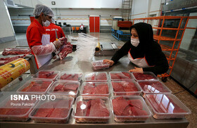 افزایش نظارت بر مراکز عرضه فرآورده‌های دامی در زنجان